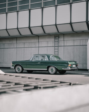 Print | Moss Grün Coupe